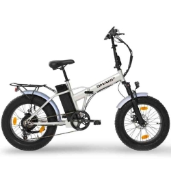 Sharp BICI ELETTRICA CON PEDALATA ASSISTITA BK-FM01-ES - RUOTE 20" - 250W - SILVER